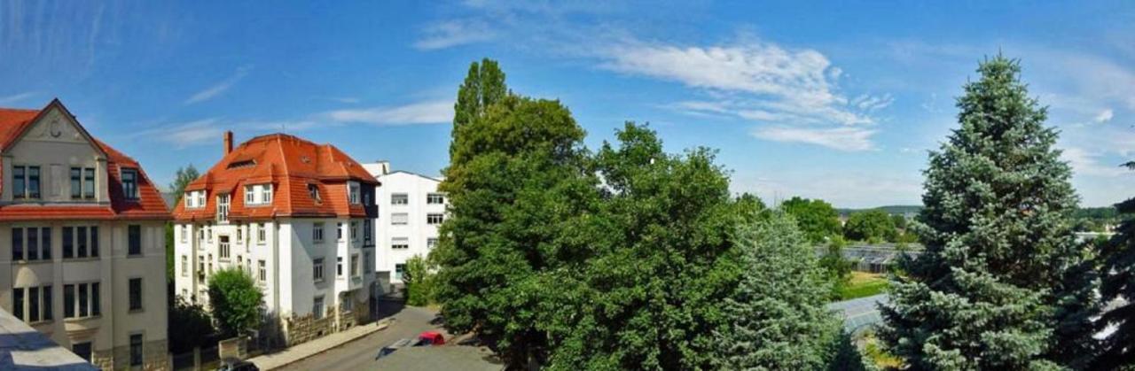 Villa Eschebach - Ferienwohnung ドレスデン エクステリア 写真