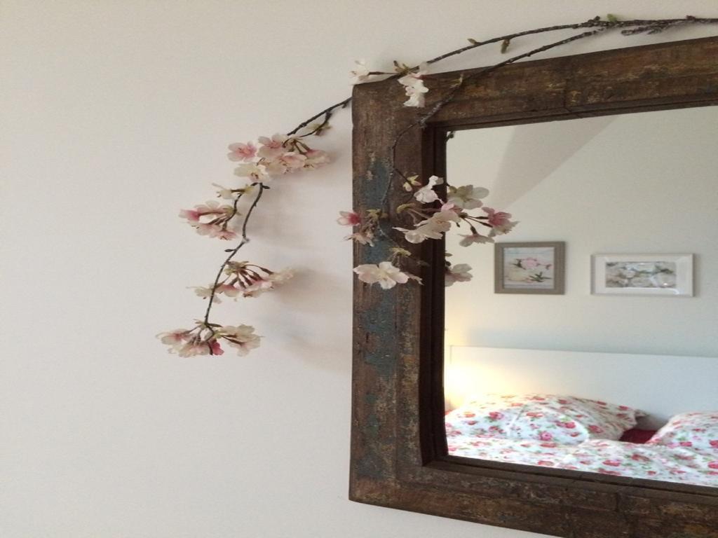 Villa Eschebach - Ferienwohnung ドレスデン エクステリア 写真